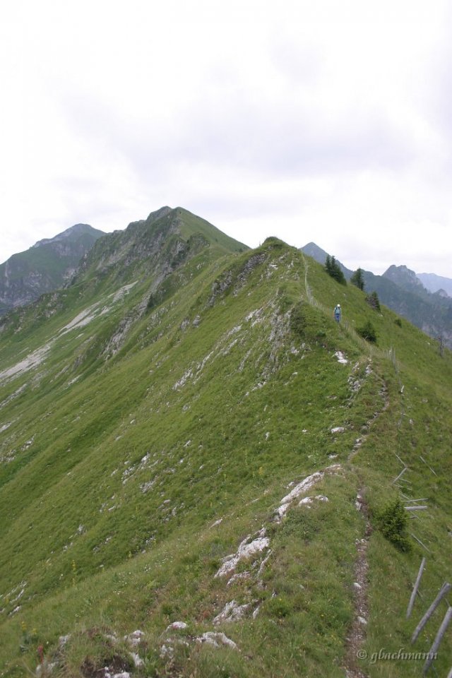 20050723_107